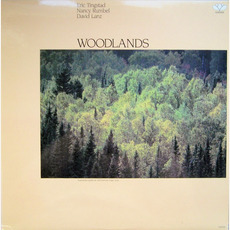 Woodlands mp3 Album by Eric Tingstad, Nancy Rumbel & David Lanz