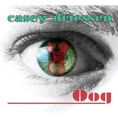 Oog mp3 Album by Casey Driessen