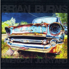 American Junkyard mp3 Album by Brian Burns