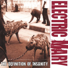 The Definition of Insanity mp3 Album by Electric Mary
