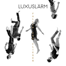 Fallen und Fliegen mp3 Album by Luxuslärm