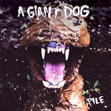 Pile mp3 Album by A Giant Dog