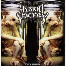 Hybrid Viscery / Intestinal Infection / Mucus mp3 Compilation by Various Artists