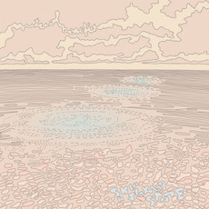 Skip a Sinking Stone mp3 Album by Mutual Benefit