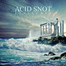 Attitudes mp3 Album by Acid Snot