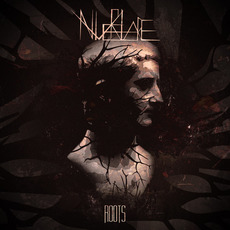 Roots mp3 Album by Niverlare