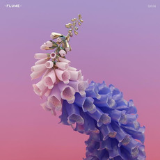 Skin mp3 Album by Flume