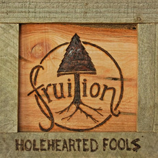 Holehearted Fools mp3 Album by Fruition