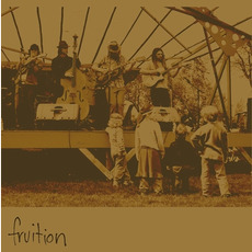 Fruition mp3 Album by Fruition