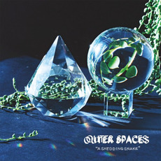 A Shedding Snake mp3 Album by Outer Spaces