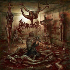 Mass Murder For Intercourse mp3 Album by Anorgasm