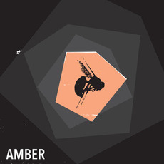 Amber mp3 Album by Amber