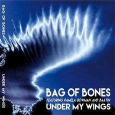 Under My Wings mp3 Album by Bag Of Bones