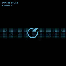 Waveform (Expanded Version) mp3 Album by Carved Souls