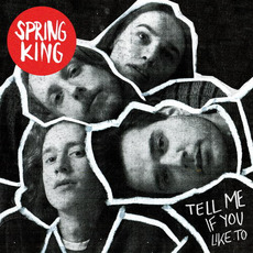 Tell Me If You Like To (Deluxe Edition) mp3 Album by Spring King