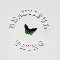 Beautiful Thing mp3 Single by The Stone Roses