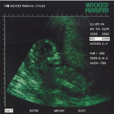 Cycles mp3 Album by Wicked Maraya