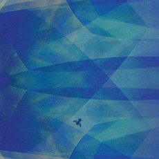 BlueFly mp3 Album by Cyro Baptista