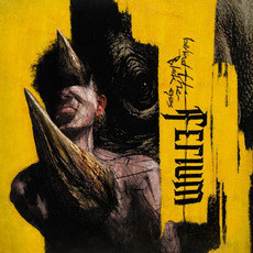 Behind the Black Eyes mp3 Album by Ferium