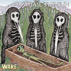 Wake mp3 Album by Hail the Sun