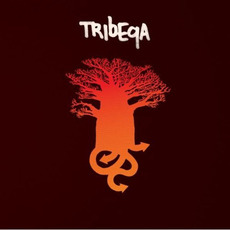 Tribeqa mp3 Album by Tribeqa