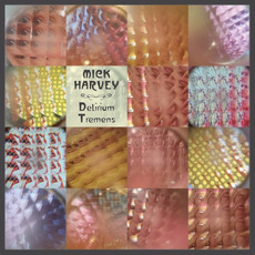 Delirium Tremens mp3 Album by Mick Harvey