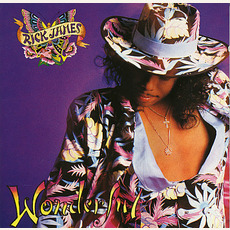 Wonderful mp3 Album by Rick James