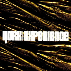 Experience mp3 Album by York