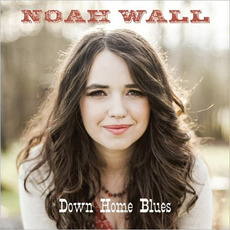 Down Home Blues mp3 Album by Noah Wall