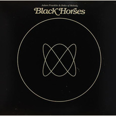 Black Horses mp3 Album by Adam Franklin & Bolts of Melody