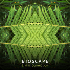 Living Connection mp3 Album by Bioscape