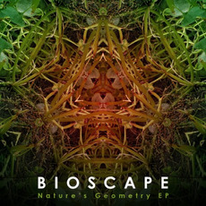 Nature's Geometry EP mp3 Album by Bioscape