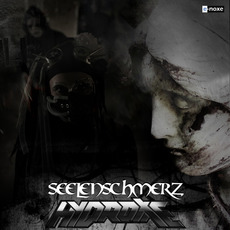 Seelenschmerz mp3 Album by Hydroxie