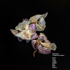 A Shattering Grandeur mp3 Album by Bellerophon