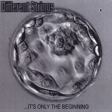 ...It's Only The Beginning mp3 Album by Different Strings