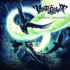 Nether Collapse mp3 Album by Vinterblot