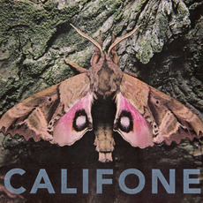 Insect Courage mp3 Album by Califone