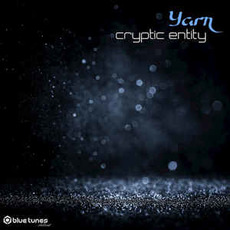 Cryptic Entity mp3 Album by Yarn (FRA)
