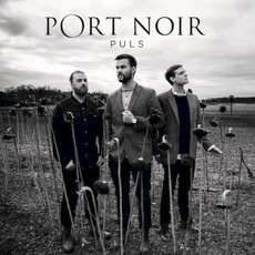 Puls mp3 Album by Port Noir