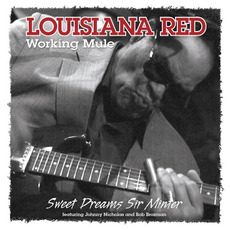 Working Mule mp3 Artist Compilation by Louisiana Red