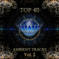 Top 40 Ambient Tracks, Vol. 2 mp3 Compilation by Various Artists