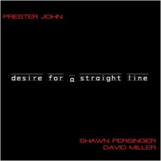 Desire For A Straight Line mp3 Album by Shawn Persinger & David Miller