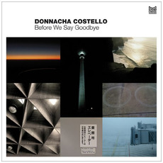 Before We Say Goodbye mp3 Album by Donnacha Costello