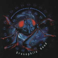 Drosophila Road mp3 Album by Polytoxicomane Philharmonie