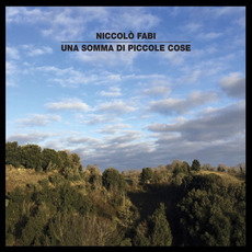 Una Somma Di Piccole Cose mp3 Album by Niccolò Fabi