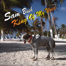 King of My World mp3 Album by Sam Bush