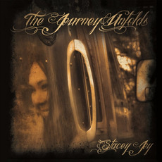 The Journey Unfolds mp3 Album by Stacey Joy