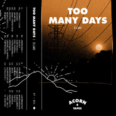TOO MANY DAYS mp3 Album by ELWD
