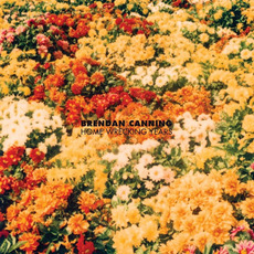 Home Wrecking Years mp3 Album by Brendan Canning
