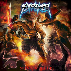 Stand in the Fire mp3 Album by Striker